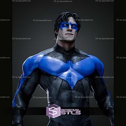 Nightwing Museum Pose on Base STL Files