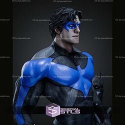 Nightwing Museum Pose on Base STL Files