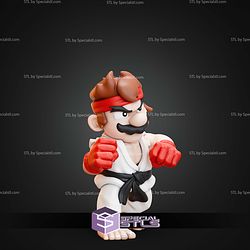 Ryu Super Mario Mashup STL Files