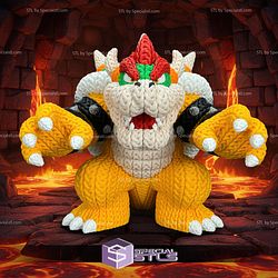 Super Basic STL Knitted Bowser