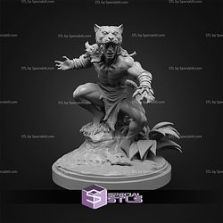 January 2026 C27 Collectibles Miniatures