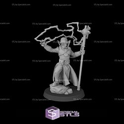 January 2026 Fantasy Cult Miniatures