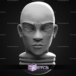 January 2026 Imp3dsion Miniatures