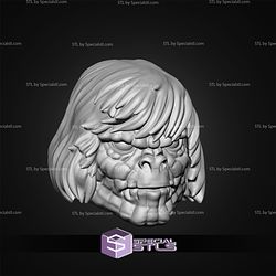 January 2026 Mega CustomX Miniatures