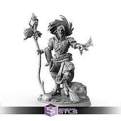 January 2026 Signum Workshop Miniatures