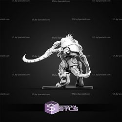 January 2026 The Makers Cult Miniatures