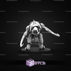 January 2026 The Makers Cult Miniatures