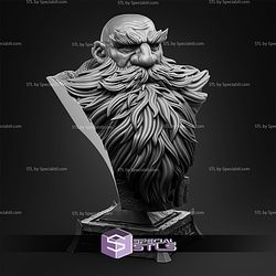 January 2026 The Witchguild Miniatures