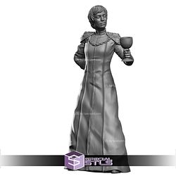 January 2026 VaultZ Miniatures