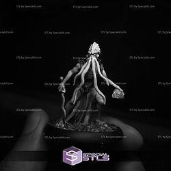 January 2026 Warp Miniatures