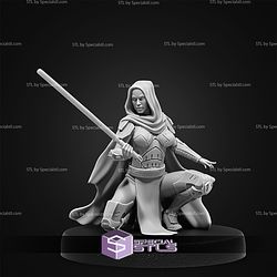 January 2026 Invictus Miniatures