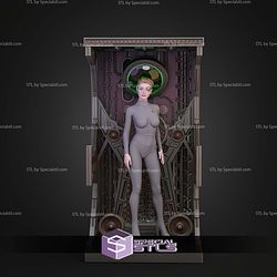 Seven of Nine Star Trek V2 STL Files