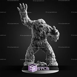December 2025 C27 Collectibles Miniatures