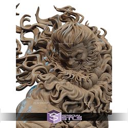 Akuma Street Figter Realistic Bust STL Files
