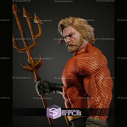 Aquaman Museum Pose 430mm STL Files