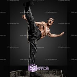 Bruce Lee 301mm STL Files