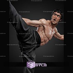 Bruce Lee 301mm STL Files