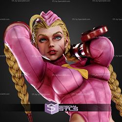 Cammy Super Sexy Suit 1-6 STL Files