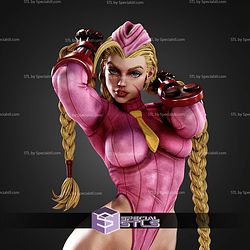 Cammy Super Sexy Suit 1-6 STL Files
