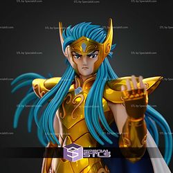Camus of Aquarius Crystal 1-6 STL Files