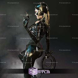 Catwoman Michelle the Cat 1-4 STL Files