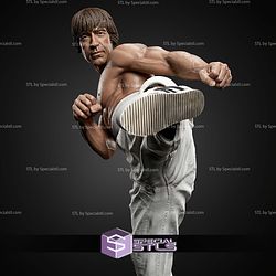 Chuck Norris 314mm STL Files