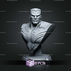 Colossus X-men Bust 158mm STL Files