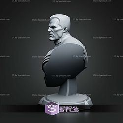 Colossus X-men Bust 158mm STL Files