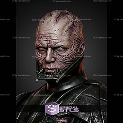 Darth Vader Battle Damage H495mm STL Files