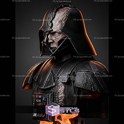 Darth Vader Battle Damage Portrait Bust H308mm STL Files