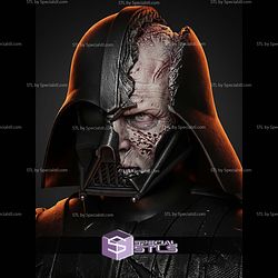 Darth Vader Battle Damage Portrait Bust H308mm STL Files
