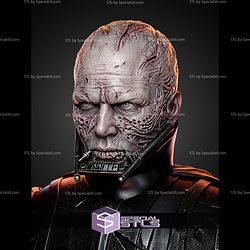 Darth Vader Battle Damage Portrait Bust H308mm STL Files
