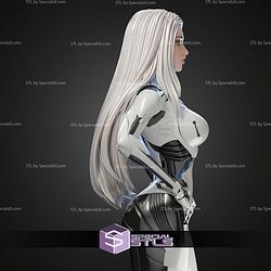 Enya Stellar Blade 300mm STL Files