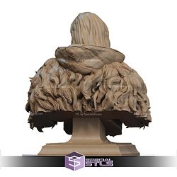 Frankenstein 1931 Fanart Version Bust STL Files