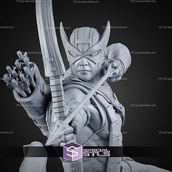 Hawkeye Absolute Precision 1-6 STL Files