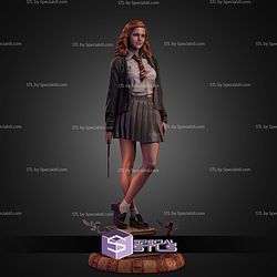Hermione Granger The Brightest Witch 1-6 STL Files