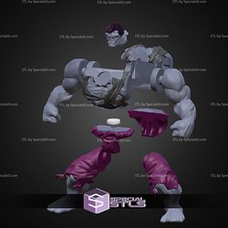 Hulk Grey 1996 Action Figure STL Files