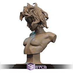Leeloo Fanart Version Bust STL Files