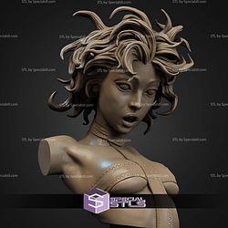 Leeloo Fanart Version Bust STL Files