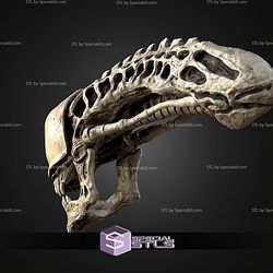 Life Size Xenomorph Skull STL Files
