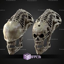 Life Size Xenomorph Skull STL Files