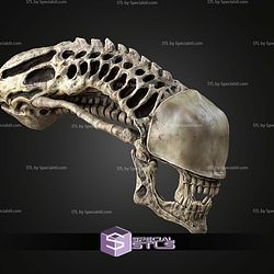Life Size Xenomorph Skull STL Files