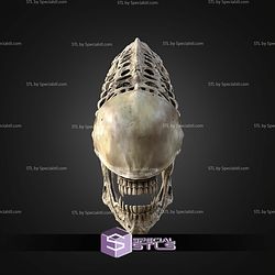Life Size Xenomorph Skull STL Files