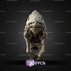 Life Size Xenomorph Skull STL Files
