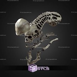 Life Size Xenomorph Skull STL Files