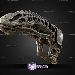 Life Size Xenomorph Skull STL Files