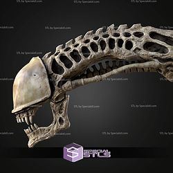 Life Size Xenomorph Skull STL Files
