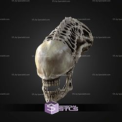 Life Size Xenomorph Skull STL Files