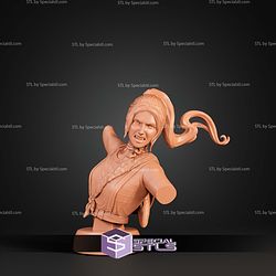 Maelle Angry Bust Clair Obscur Expedition 33 STL Files
