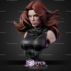 Mara Jade Portrait Bust H265mm STL Files